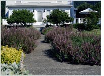 Garden path