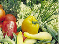 Garden vegetables