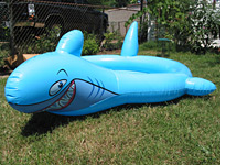 ToyQuest Banzai Shark Spray Pool