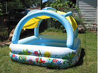 Intex Sun Shade Pool