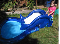 Banzai Slide 'N Splash Whale Pool