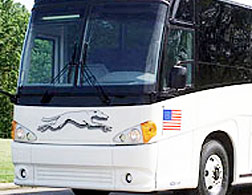 Greyhound