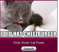 Click here to launch a slide show