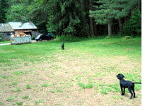 Jack and Lissy near the construction area at our house