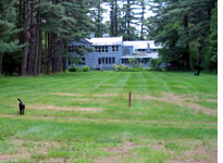 Jack (foreground) and Lissy playing by West House