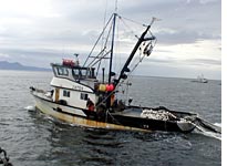 A nearby seiner setting his net