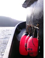 Heading home