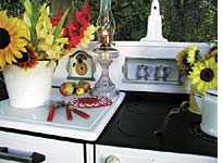 My outdoor stove (I cook and live outside in the summer)