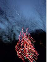 Streaky solstice tree under planet Venus