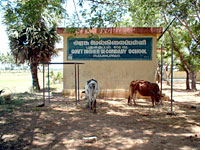 A local school