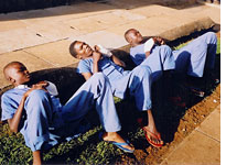 Young boys recuperating at the hospital from cuts received during fights over miraa. Click image to expand.