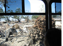 A passenger on the Gray Line Tour surveys her old neighborhood. Click image to expand.