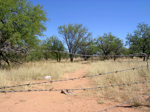 A well-groomed, nearly flat illegal trail heads north beyond a fence on the Buenos Aires National Wildlife Refuge, Arizona.