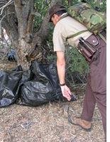 Bureau of Land Management ranger Pat Brasington checks garbage bags smugglers have left behind. Click image to expand.