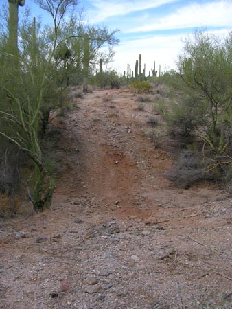 A well-groomed, nearly flat illegal trail heads north beyond a fence on the Buenos Aires National Wildlife Refuge, Arizona.