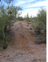 An illegal trail heads north. Click image to expand.