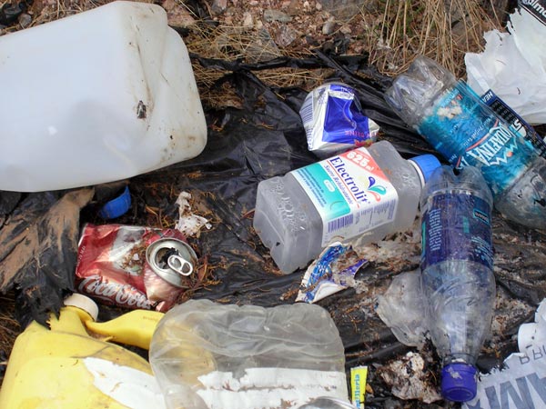 What fuels the trip across the border deserts: caffeinated drinks, water, and electrolyte solutions made for children. 