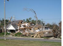 An abandoned street in Lakeview. Click image to expand.