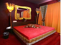 The "Safari" room at Berlin's Artemis brothel. Click image to expand.