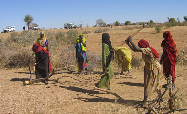 Women gather firewood while A.U. troops watch over them.