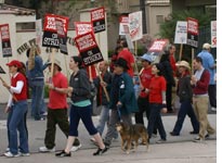Writers on strike at Prospect Studios