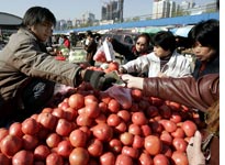 Chinese Tomatoes