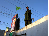 A bodyguard assigned to protect PML candidates. Click image to expand.