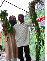 What natural farming can produce