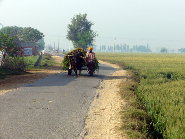 A farmer on the road.