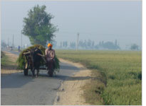 A Farmer on the Road. Click image to expand