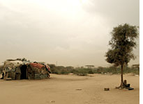 The makeshift home of a family displaced in the Somali civil war. Click image to expand.