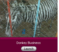 Donkey Business. Click image to launch.