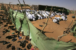 Sudanese refugees pray at an improvised mosque during the Friday prayer in the Oure Cassoni Refugee Camp. Click image to expand.