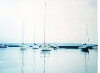 Traverse City, Mich. Click image to expand.
