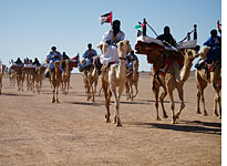 Polisario’s camel corps. Click image to expand.