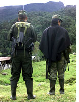 FARC guerrillas. Click image to expand.