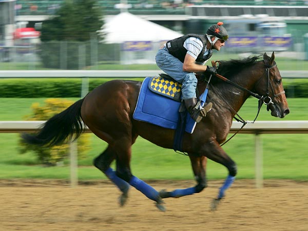 Kentucky Derby horse Point Determined.