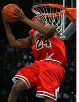 Bulls. Click image to expand.