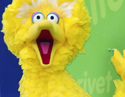 Big Bird. Click image to expand.