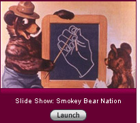 Click here to launch a slide show