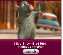 Click here to launch a slide show.