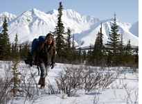 Into the Wild. Click image to expand.