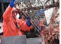 Russell Newberry on Deadliest Catch. Click image to expand.