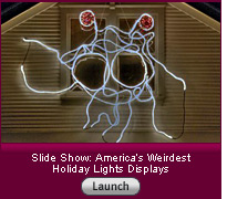 Click here to launch a slide show on weird holiday lights.