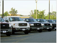 Ford SUVs. Click image to expand