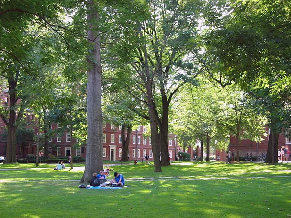 Harvard Yard.