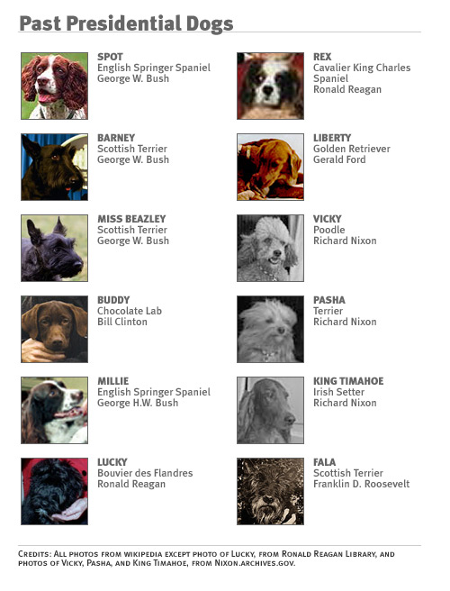 Past Presidential Dogs.
