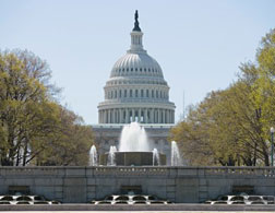 The Capitol Building.