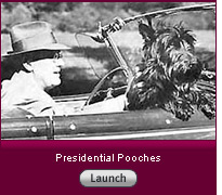 Presidential Pooches