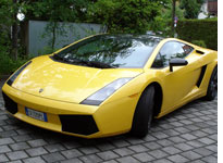 The Lamborghini Gallardo 
Click image to expand.